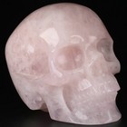 5.0" Rose Quartz Crystal Carved Crystal Skull, Realistic, Crystal Healing