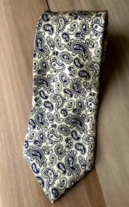 Ralph Lauren Blue Label Skinny Silk Paisley Tie. 3.5"x 59". Flawless. - Picture 1 of 3