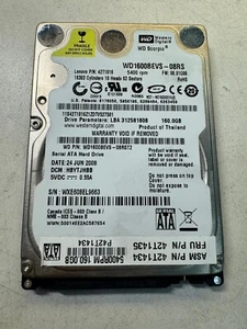 LENOVO 42T1016 WD1600BEVS-08RS 160GB 5400 RPM 8MB Cache 1.5Gb/s SATA 2.5" HDD - Picture 1 of 3