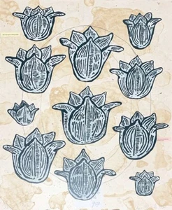 Donald Baechler "FLOWERS" Original Lithograph & Relief Printing S/N - Picture 1 of 1