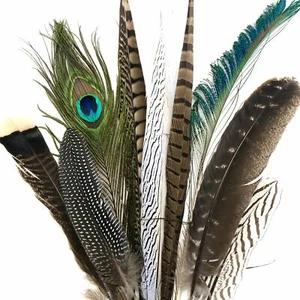 Large Natural Feathers 20-35cm Mixed Pack x 10pcs - Bild 1 von 3