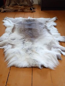 Norwegian Reindeer Skin Hide Fur Pelt Taxidermy Home Decor Area Rug Fireplace  - Picture 1 of 17
