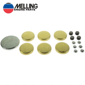 BRASS FREEZE PLUG OIL GALLERY PLUG KIT FORD FE 390-428 - Picture 1 of 1