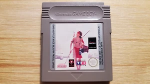 Indianer in einer Großstadt + Hülle - Nintendo Gameboy Classic Spiel - EUR #1 - Picture 1 of 4