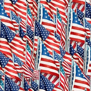 Fabric USA Flag Patriotic on White Susan Wingett Cotton by the 1/4 yard 0715 - Picture 1 of 1