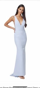 Allegra Sheer Floral Embroidery Maxi Dress Deep V Front And Back Neckline Siz 18 - Picture 1 of 10