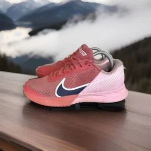 Nike Court Air Zoom Vapor Pro 2 Adobe Pink Bloom Wmn Sz 8.5 Pickleball Shoes AA - Picture 1 of 20