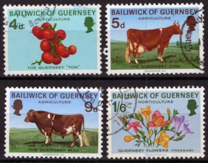 ZAYIX Guernsey 33-36 Used Farm Animals Plants Food Agriculture 021423S95 - Picture 1 of 1