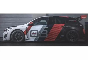 Minicar 1/43 Peugeot 308 Tcr Presentación 2018 S5196 - Imagen 1 de 1