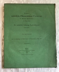 Klotzsch, Linné´s natürliche Pflanzenklasse Tricoccae, 1860, Kgl. Akademie - Picture 1 of 3