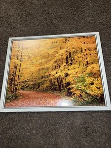 cibachrome Photograph print Autumn Unsigned 20"x24" Unframed - Picture 1 of 7
