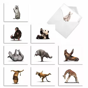 10 Assorted Thank You Note Cards with Envelopes - ZOO YOGA - Picture 1 of 6