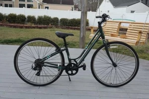 Giant Liv Flourish 4 Women's Hybrid Bicycle - Picture 1 of 3