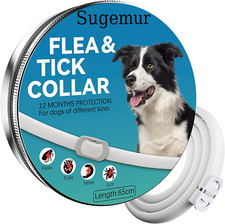 Collare Antipulci Cane, Collare Antiparassitario per Cani Efficiente, 12 Mesi Pr