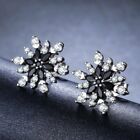 2 Ct Marquise Cut Simulated Black Diamond Stud Earrings In 14k White Gold Plated