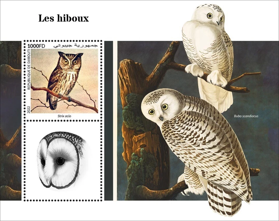 Estampillas de búhos chillones búho nevado MNH 2022 Djibouti S/S Foto 1 de 1