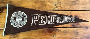Vintage Brown University Pembroke Pennant Feltro Universitatis Brunensis Sigillum - Foto 1 di 10