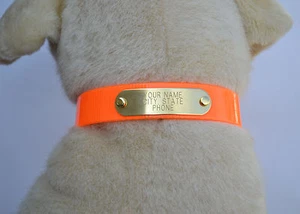 WARNER SPORTS DAYGLO HUNDEHALSBAND ORANGE 1" x 27" KOSTENLOSE GRAVUR MESSING ID TAG USA - Bild 1 von 4