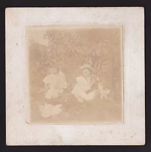 um 1895 Kind mit 2 Kätzchen, Hund & 3 Puppen Astoria Oregon Echtfoto auf Karte - Bild 1 von 1