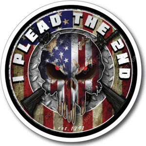 Skull Decal Gun Rights Sticker 2nd Amendment Come Take Them American Flag Plead - Bild 1 von 5