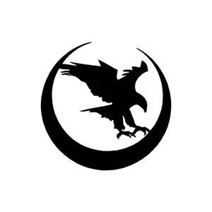 Nighthawk Custom Vinyl Decal Gun 1911 Pistols Knives Logo Sticker - Picture 1 of 11