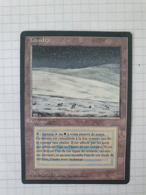 - MTG Magic Card - Dual Land Toundra - 3eme Bord Noir FBB - Photo 1/3