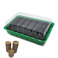 Gewächshaus Zimmergewächshaus Aufzucht Treibhaus mit 24 Kokos-Quelltabletten