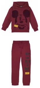 Disney Kids Jogging Suit Workout Suit 2-Divider Lined Warm - Picture 1 of 3