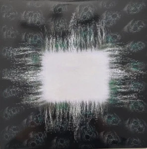 TOOL Ænima Aenima Double LP Vinyl 2LP New Sealed - Picture 1 of 2