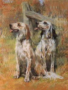 ENGLISH SETTER CHARMANTE HUND GRUSS NOTIZKARTE ZWEI SCHÖNE HUNDE SITZEN AM ZAUN - Bild 1 von 1