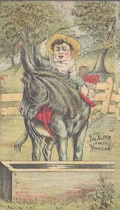 VICTORIAN TRADE CARD - NEW ENGLAND SHE STORE, 72 BANK STREET, WATERBURY, CONN - Bild 1 von 1