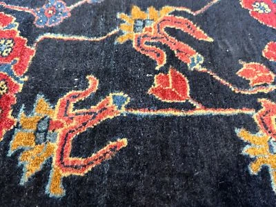 Auth:  Antique Sarougk   Transitional  Botanical Paradise   Indigo Blue 9x12  NR - Image 1 of 4