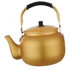 Electric Kettle Teapot with Tea Strainer Fast Boiling Water Kettle Lightweight