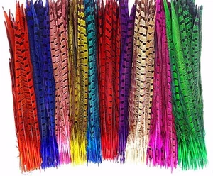 Colour Pheasant Tail Feathers 10'' - 12'' Arts Crafts Hat Costume Wedding Fly UK - Picture 1 of 20