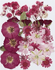 Dried Pressed Flowers Natural Leave Real Pressed Flowers Red Series UK - Picture 1 of 6