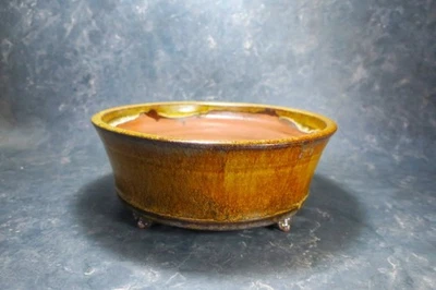 Olla Bonsai Japonesa Genuina "Yoshimura Syuho" de Tokoname. Foto 1 de 4