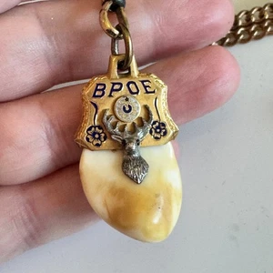 Vintage BPOE Elks Tooth Gold Filled T-Bar Watch Chain Pocket Knife Fob Charm - Picture 1 of 5