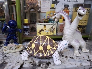 Vintage Old Aquarium Pet Store Ceramic Radiated Tortoise Reptile Ornament Bank - Picture 1 of 8