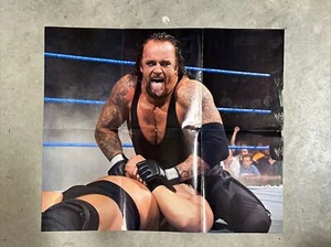 THE UNDERTAKER DOUBLE-SIDED POSTER 2005 WWE 20.75 x 24.75” WWF WRESTLING - Picture 1 of 3