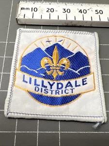 VINTAGE BOY SCOUTS PATCH CUB RETRO POWELL VENTURERS GUIDES LILLYDALE E - Bild 1 von 2