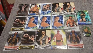 Drew Mcintyre 16 Karten Lot + Dog Tag Topps Attax Panini - Bild 1 von 1