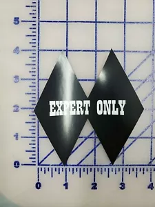 Expert Only Double Black Diamond Skiing Mammoth Tahoe Skies sticker decal 4" - Picture 1 of 1