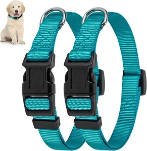 Martingale Collar for Dogs with Quick Release Buckle Size Medium 2 Pack Teal - Bild 1 von 4