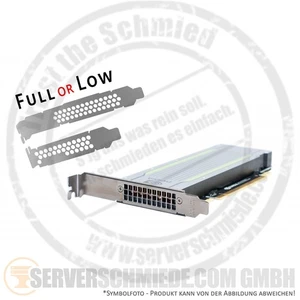 nVidia Tesla T4 16GB Tensor KI VDI Computing Server GPU 8-TFlops PCIe x16 Fanles - Afbeelding 1 van 7