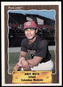 1990 Columbus Mudcats ProCards #1354 Andy Nota