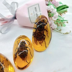 1pcs Resina Naturale Grezza Ambra Giallo Pietra Ape Pietra Fluorescente Cera Miele |NUOVO - Foto 1 di 12