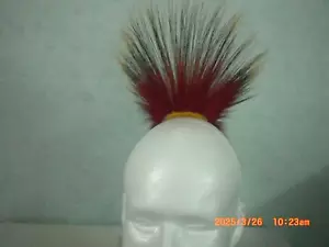 Porcupine Roach, Tiny Tot or Old Style Red, 6 inch out, Yellow Yarn Base - Picture 1 of 6