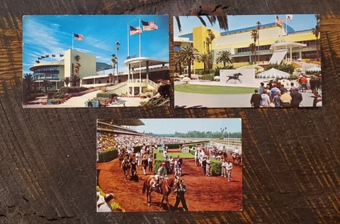 Lot of 3 1950s/1960s Hollywood Park Horse Racing Postcards Cover