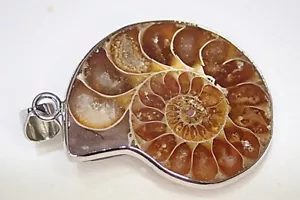 Real Ammonite Fossil Shell Pendant Natural Polished Stone #04 - Picture 1 of 8