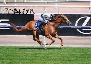 Horse Racing - Dylan Browne McMonagle - Hand Signed A4 Photograph - COA - Picture 1 of 1